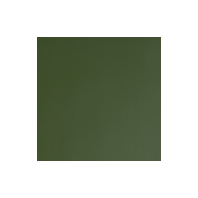 S5498B - Vert Capre Brillant